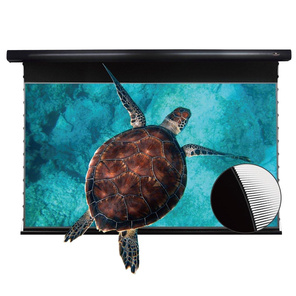 VIVIDSTORM PRO Slimline Motorized Tension UST ALR Projector screen