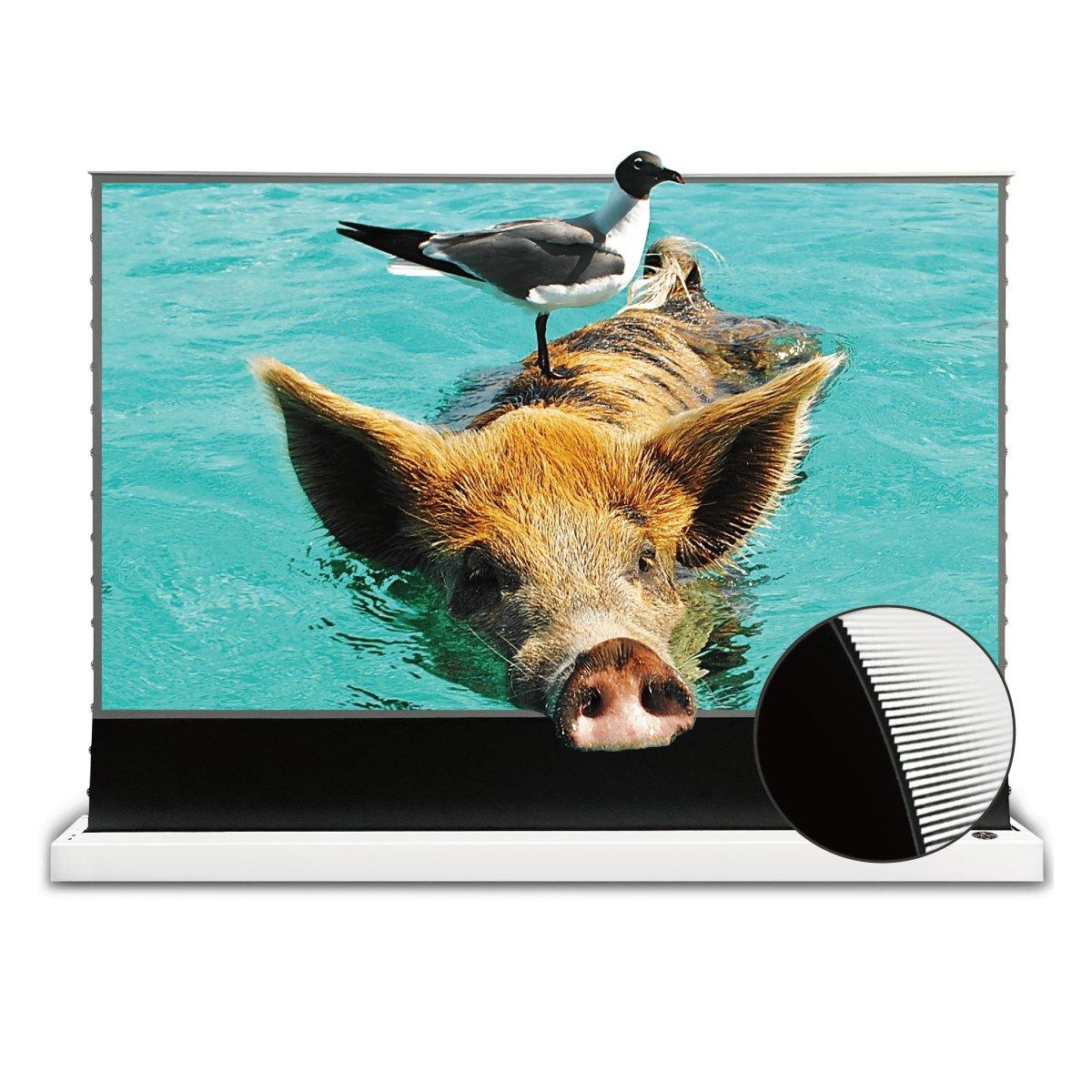 VIVIDSTORM S PRO Motorized Tension Floor Rising UST ALR Projector Screen