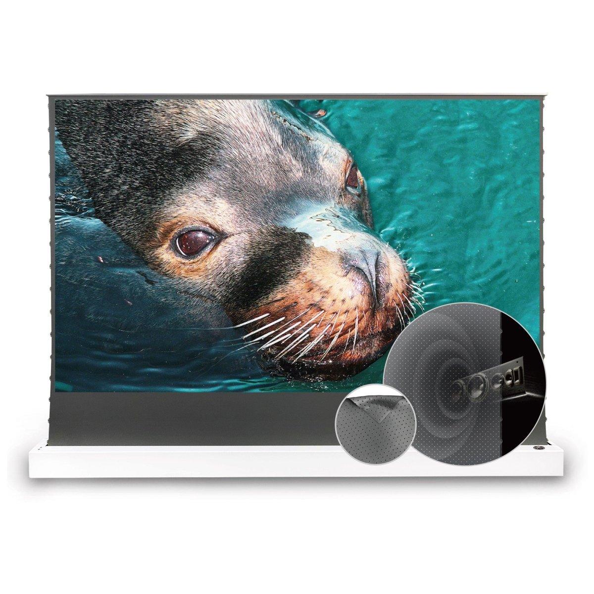 VIVIDSTORM S ALR P Motorized Tension Floor Rising Obsidian Long Throw ALR Perforated Projector screen